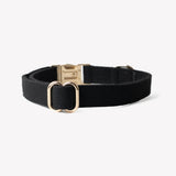 'Black' - Canvas Dog Collar - FURLOU 