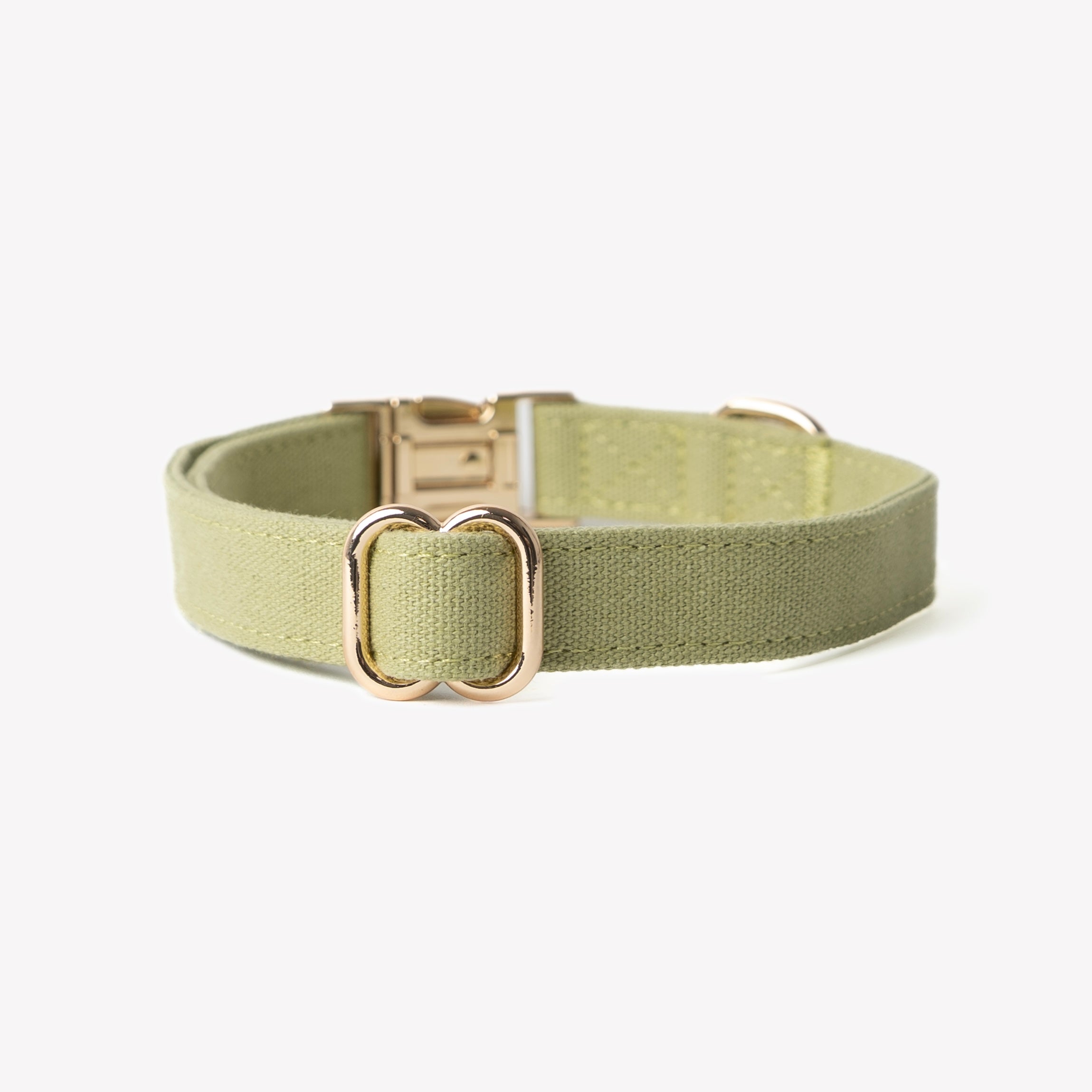 'Green' - Canvas Dog Collar - FURLOU 