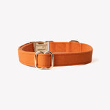 'Terracotta' - Canvas Dog Collar - FURLOU 