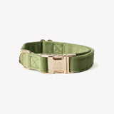 'Green' - Velvet Dog Collar - FURLOU 