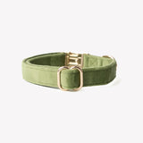 'Green' - Velvet Dog Collar - FURLOU 