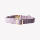 'Lilac' - Velvet Dog Collar - FURLOU 