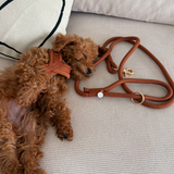 'Terracotta' - Braided Rope Leash