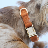 'Terracotta' - Canvas Dog Collar