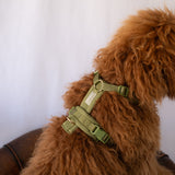 Green - Comfort Dog Harness