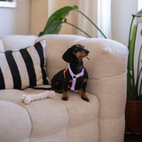Lavender and Terracotta - Dog Harness