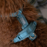 Blue - Comfort Dog Harness