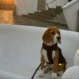 Brown - Comfort Dog Harness