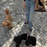 'Green' - Braided Rope Leash