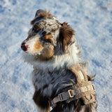 'Sand' - Sherpa Dog Harness