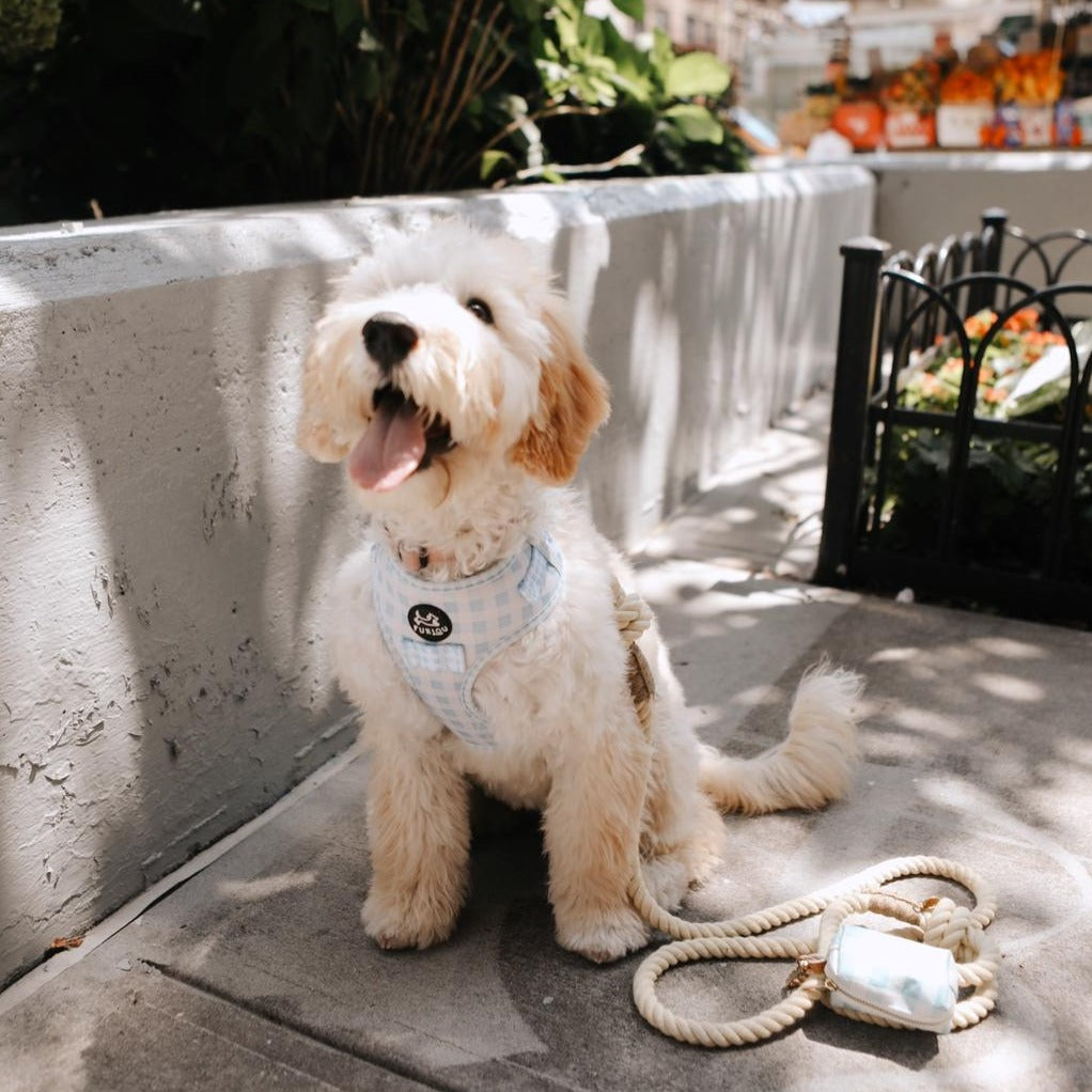 'Vanilla Cream' - Rope Leash - FURLOU 
