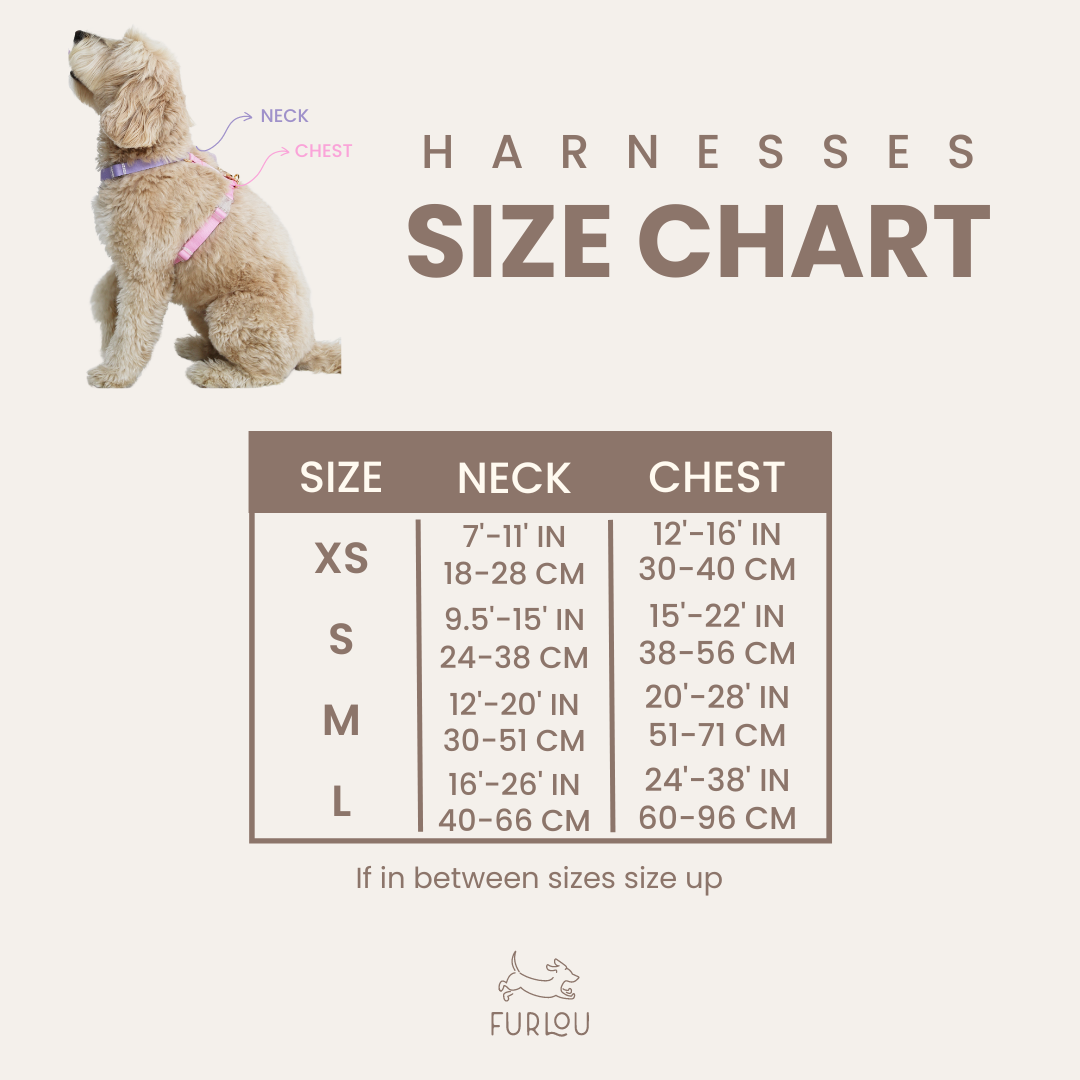 Puppaccino - Dog Harness - FURLOU 
